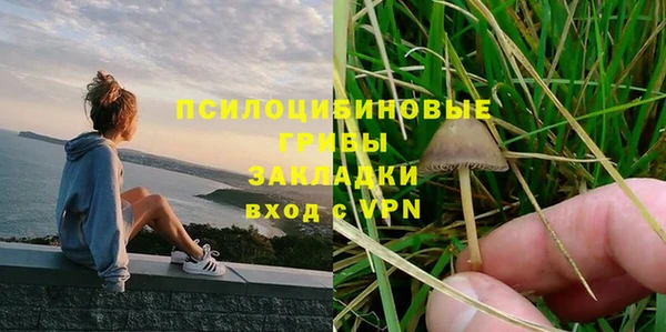 дживик Санкт-Петербург