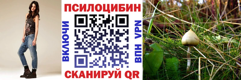 мега ССЫЛКА Шиханы Псилоцибиновые грибы Magic Shrooms