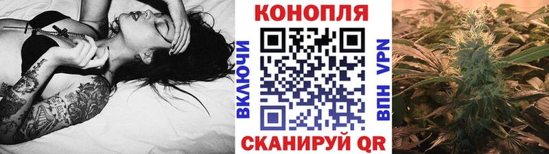 где купить наркотик  Шиханы  Бошки марихуана THC 21% 